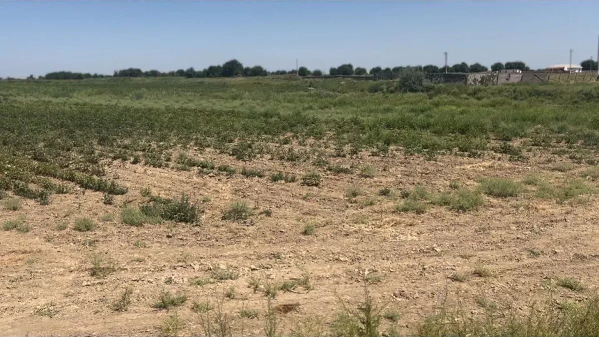 Казахстан запрещает вывоз плодородного слоя почвы, вводит новый закон об охране