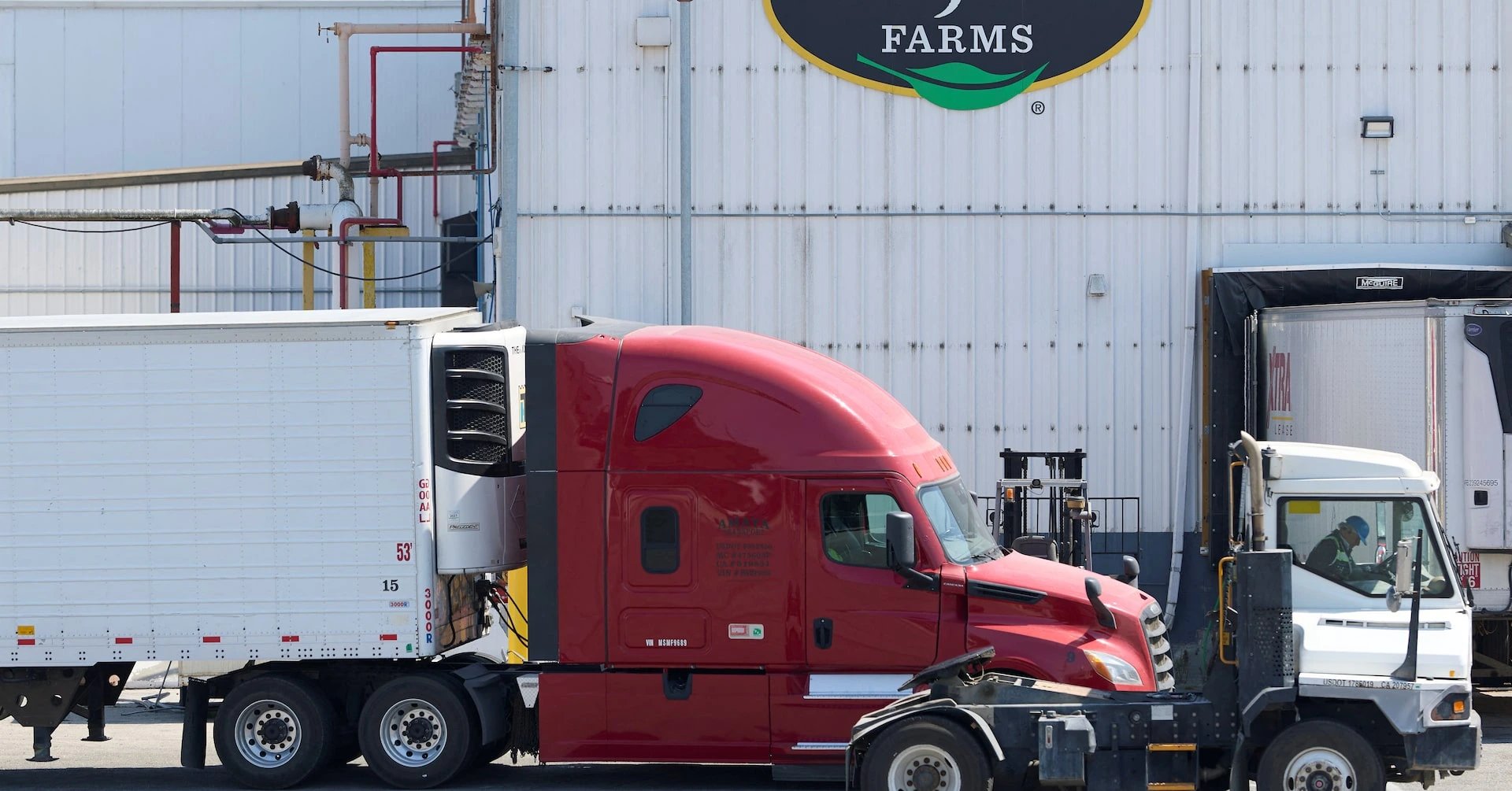 Масштаб Taylor Farms не предотвратил вспышку циклоспориаза: 15 000 случаев в США