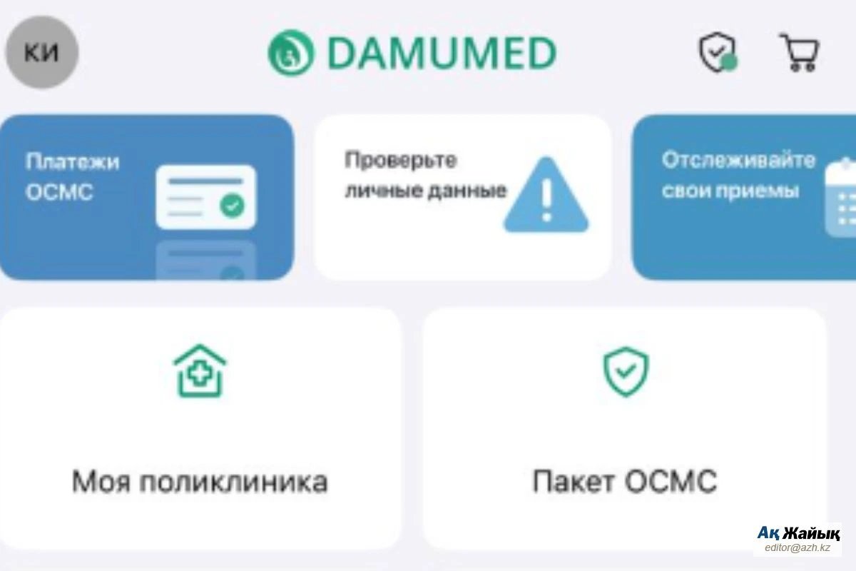 Костанайка заявила, что запись в Damumed ложно приписала ей эпилепсию и блокирует права